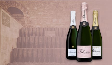 VINS CHAMPAGNE PALMER & CO en vente privilège chez 1JOUR1VIN