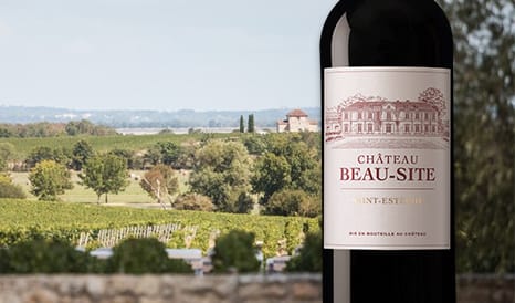 VINS L'UNE DES MEILLEURES AFFAIRES DE SAINT-ESTEPH en promo sur 1JOUR1VIN