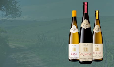 VINS BIO LEON BOESCH  ALSACE BIODYNAMIQUE pas cher sur 1JOUR1VIN