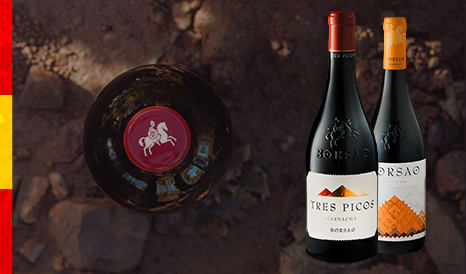 VINS BODEGAS BORSAO  ESPAGNE à bas prix chez 1JOUR1VIN