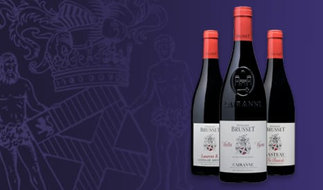VINS DOMAINE BRUSSET à bas prix sur 1JOUR1VIN