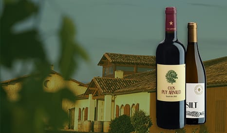 VINS BIO CLOS PUY ARNAUD  L'ELITE DE CASTILLON en vente privilège chez 1JOUR1VIN