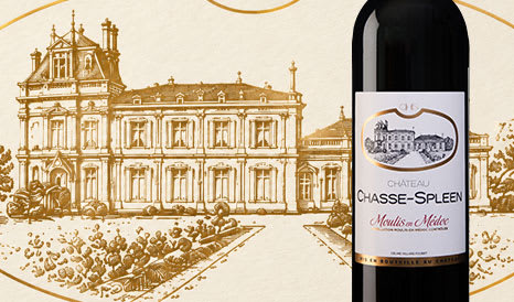 Château Chasse-Spleen 2020 • Best-Seller !