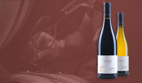 VINS NOUVEAUTE GIVRY à prix discount chez 1JOUR1VIN