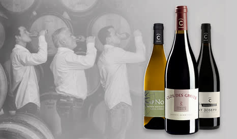 VINS BIO DOMAINE COMBIER en soldes chez 1JOUR1VIN