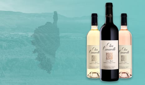 VINS BIO CLOS CANARELLI en vente privée chez 1JOUR1VIN