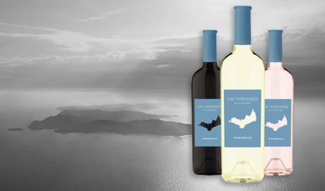 VINS BIO LA COURTADE  PORQUEROLLES à prix discount chez 1JOUR1VIN