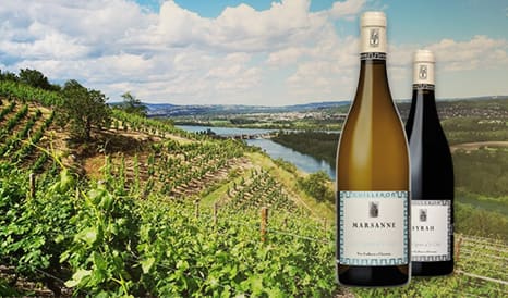 VINS YVES CUILLERON  DUO MARSANNE SYRAH à prix discount chez 1JOUR1VIN