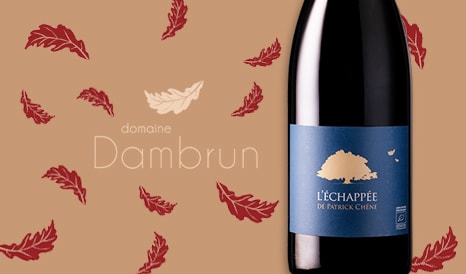 VINS BIO L'ECHAPPEE DE PATRICK CHENE en vente flash chez 1JOUR1VIN