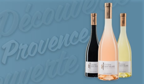 VINS COTEAUX D'AIX EN PROVENCE en soldes sur 1JOUR1VIN