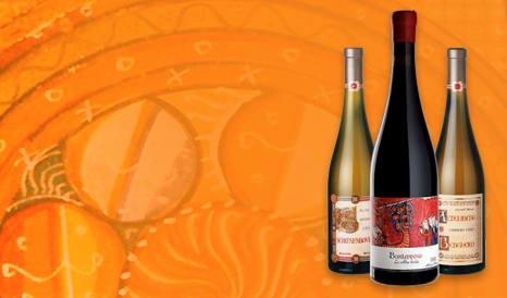 VINS BIO DOMAINE MARCEL DEISS en promo chez 1JOUR1VIN