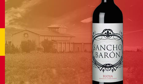 VINS SANCHO BARON 2021  ESPAGNE en vente flash chez 1JOUR1VIN