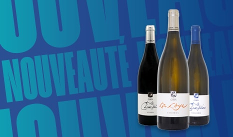 VINS BIO JEAN-MICHEL GERIN en promo sur 1JOUR1VIN