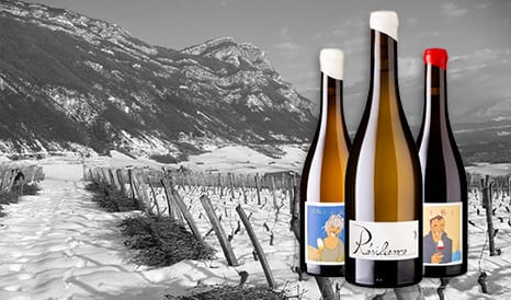 VINS BIO DOMAINE PARTAGE - GILLES BERLIOZ en promo sur 1JOUR1VIN