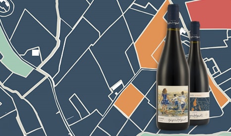 VINS BIO GREGOIRE HOPPENOT  FLEURIE en vente flash sur 1JOUR1VIN