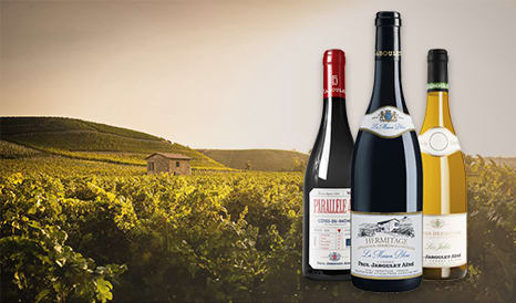 VINS BIO PAUL JABOULET AINE en vente privée sur 1JOUR1VIN