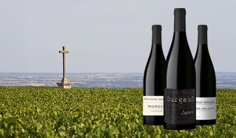 VINS JEAN-MARC BURGAUD en vente flash chez 1JOUR1VIN