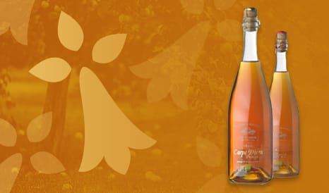 VINS BIO L'EXCELLENCE DU CIDRE BRETON BIO à bas prix chez 1JOUR1VIN