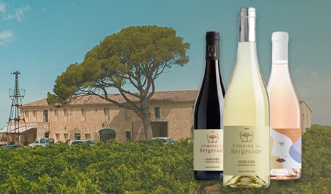 VINS BIO DOMAINE LA BERGERADE en vente flash chez 1JOUR1VIN