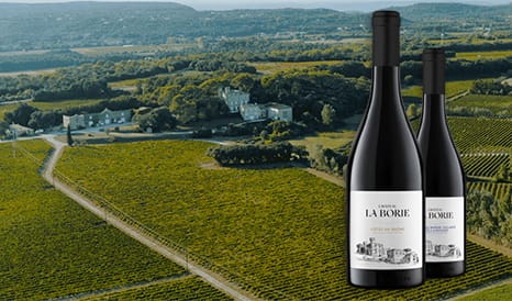 VINS BIO CHATEAU LA BORIE  COTES-DU-RHONE à super prix chez 1JOUR1VIN