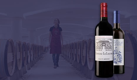 VINS BIO CHATEAU LA LAGUNE 2019 pas cher chez 1JOUR1VIN