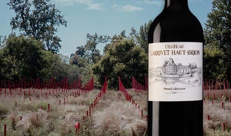 VINS CHATEAU LARRIVET HAUT-BRION, UNE REFERENCE A  à super prix chez 1JOUR1VIN