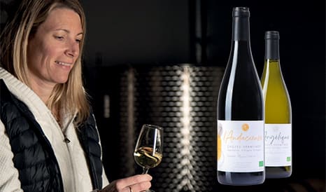 VINS BIO CROZES-HERMITAGE  3* HACHETTE en promo chez 1JOUR1VIN