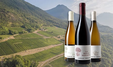 VINS BIO CHATEAU DE MERANDE  SAVOIE en vente flash sur 1JOUR1VIN