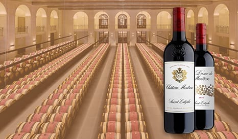 VINS CHATEAU MONTROSE  JOYAU DE SAINT-ESTEPHE en soldes sur 1JOUR1VIN