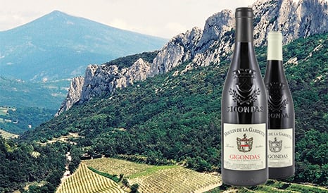 VINS BIO MOULIN DE LA GARDETTE  REMARQUABLES GIGON à prix discount sur 1JOUR1VIN