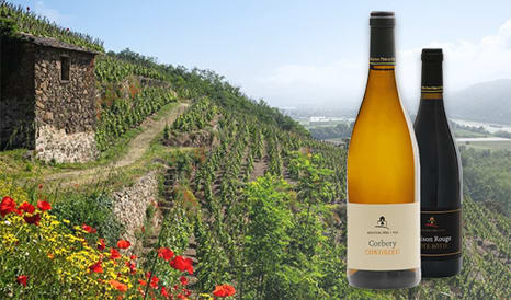 VINS DOMAINE MOUTON PERE ET FILS à super prix chez 1JOUR1VIN