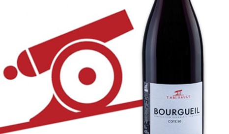 VINS BIO YANNICK AMIRAULT, DELICIEUX BOURGUEIL (RV à prix discount chez 1JOUR1VIN