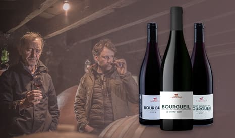 VINS BIO YANNICK AMIRAULT  BOURGUEIL à bas prix chez 1JOUR1VIN
