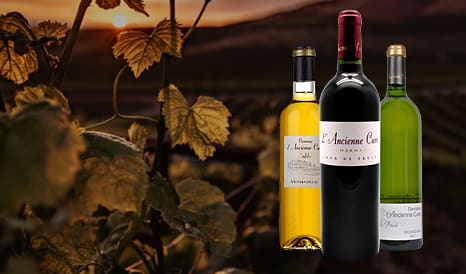 VINS BIO BERGERAC - PECHARMANT - MONBAZILLAC à prix discount chez 1JOUR1VIN
