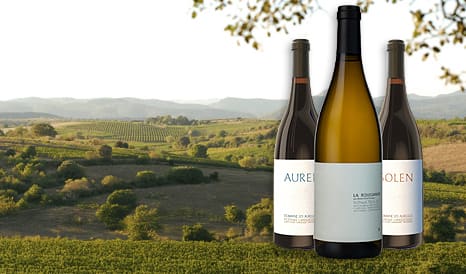 VINS LES AURELLES  GRANDS LANGUEDOC en soldes sur 1JOUR1VIN