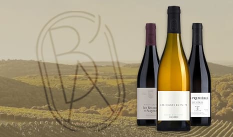 VINS BARDI D'ALQUIER - FAUGERES pas cher sur 1JOUR1VIN
