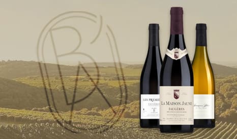 VINS BARDI D'ALQUIER - FAUGERES en soldes chez 1JOUR1VIN