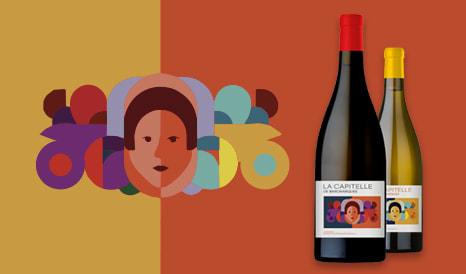 VINS DOMAINE DE BARONARQUES pas cher chez 1JOUR1VIN