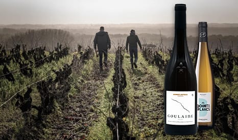 VINS BIO BONNET-HUTEAU   MUSCADET BIO à prix discount sur 1JOUR1VIN