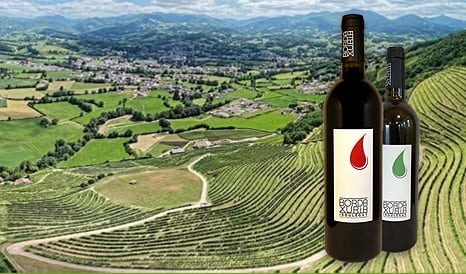 VINS BIO IROULEGUY PLEIN D'AUDACE ! en vente privée chez 1JOUR1VIN