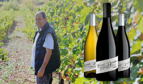 VINS BIO CANET VALETTE  SAINT CHINIAN en promo chez 1JOUR1VIN