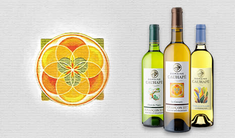 VINS DOMAINE CAUHAPE  JURANCON à super prix chez 1JOUR1VIN