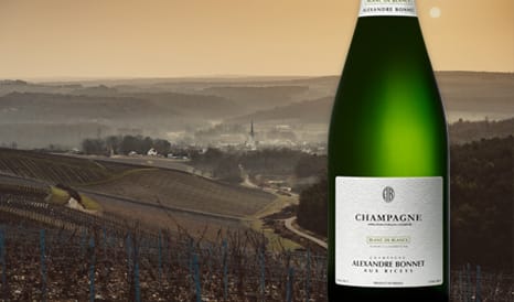 VINS ALEXANDRE BONNET - BLANC DE BLANCS à super prix chez 1JOUR1VIN