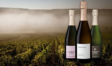 VINS CHASSENAY D'ARCE en vente privée sur 1JOUR1VIN