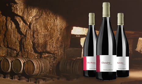 VINS BIO LA CHEVALERIE  BOURGUEIL BIO pas cher chez 1JOUR1VIN