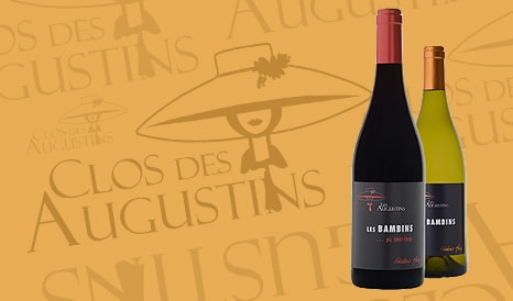 VINS BIO PIC SAINT-LOUP - SAINT GUILHEM LE DESERT à prix discount chez 1JOUR1VIN