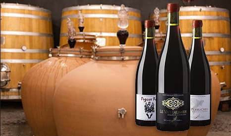 VINS BIO LA COTELLERAIE  SAINT-NICOLAS DE BOURGUEI en vente privée sur 1JOUR1VIN