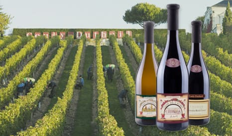 VINS COULY-DUTHEIL   CHINON à bas prix chez 1JOUR1VIN