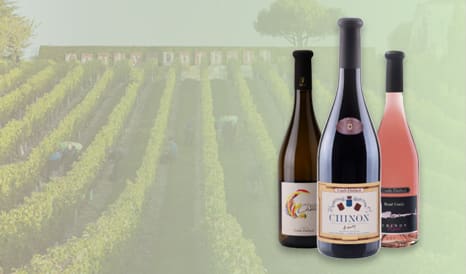 VINS COULY-DUTHEIL en vente privée chez 1JOUR1VIN