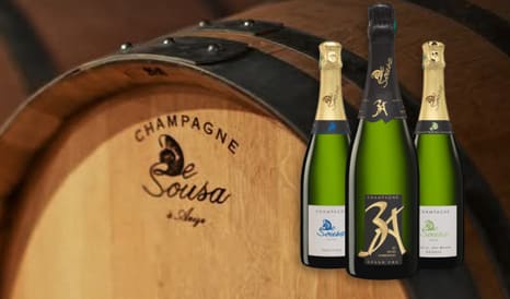 VINS BIO CHAMPAGNE DE SOUSA  BIODYNAMIE en vente flash sur 1JOUR1VIN